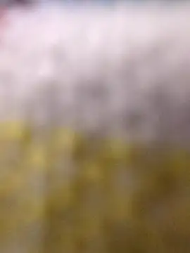 sushmita0 live cam on StripChat
