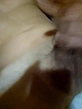 Babyzinhu webcam