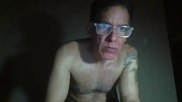 CaptainFox webcam