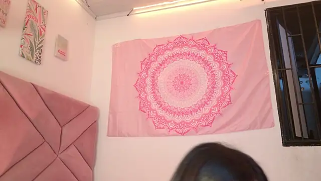 eva_sin18 webcam