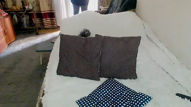 sex2 webcam