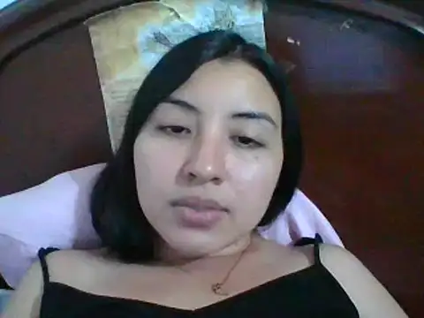 _Romilly_ webcam
