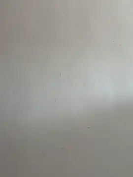 daaqnn webcam