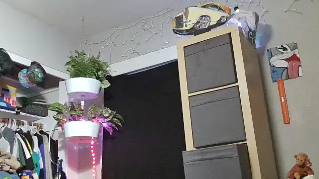 smokee_parT903 live sex cam