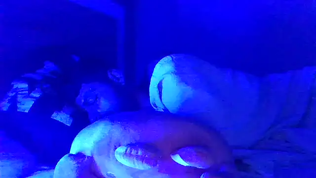 Darylpollalarga webcam