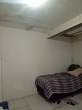 TransBollat webcam