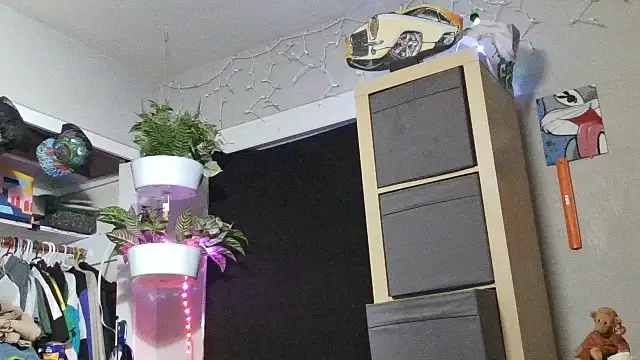 smokee_parT903 webcam