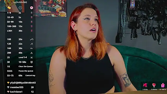 Serve_to_Alexa webcam