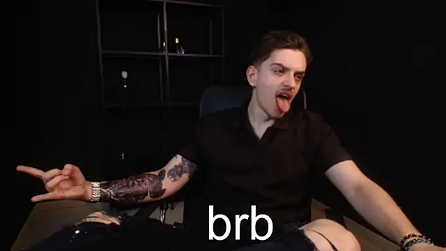 FelixStarkk webcam
