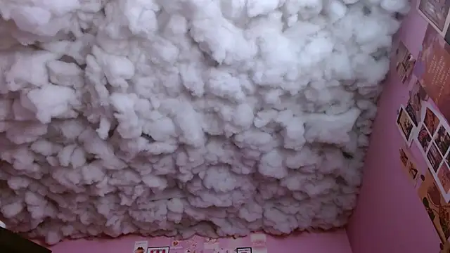 sabrinapaulson1111 webcam