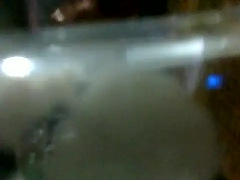 NinfomanoLOGAN webcam