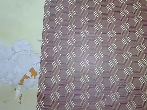 sayana_shrma webcam