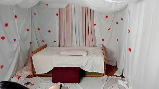 Crazykitta webcam