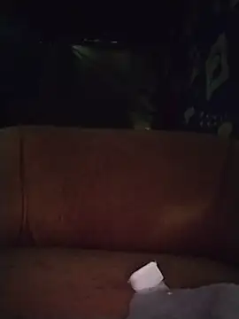 rianha webcam