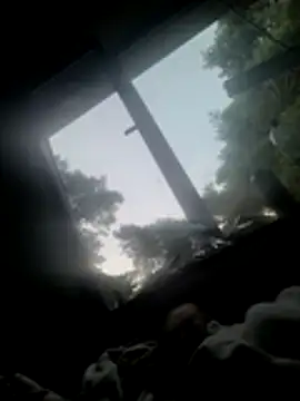Janssen88 webcam