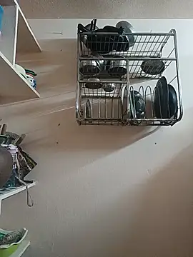 Hansikatelugu webcam