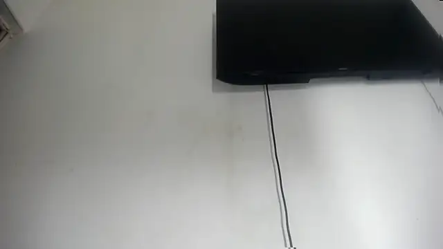 Fox_Loves webcam
