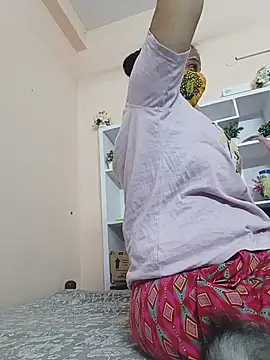 Hansikatelugu webcam