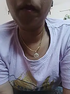 Hansikatelugu webcam
