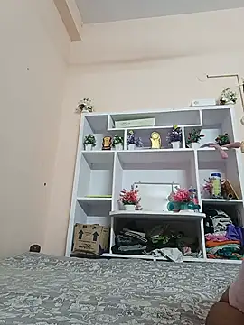 Hansikatelugu webcam