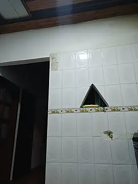 BlackBigdogg webcam