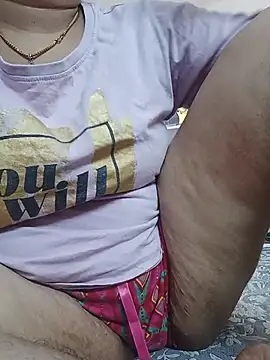 Hansikatelugu webcam