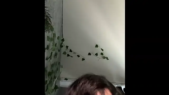 Silfara webcam