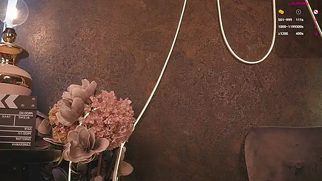 LinoAdaro webcam