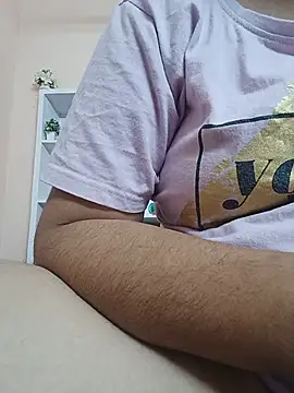 Hansikatelugu webcam