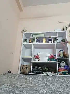 Hansikatelugu webcam