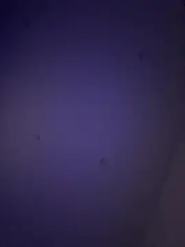 Jonnybigccookk69 webcam