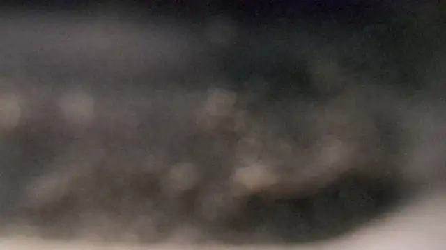 YourHotGreg webcam