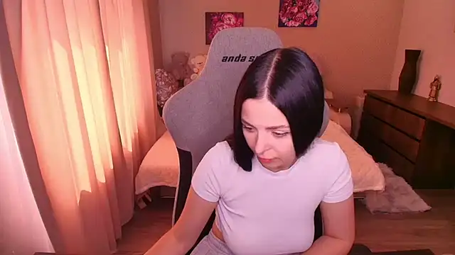 EvaSmeet webcam