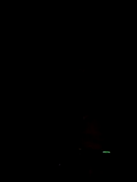 Penniewild webcam