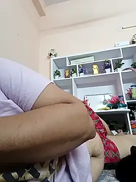 Hansikatelugu webcam