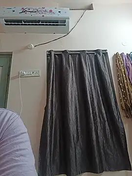Hansikatelugu webcam
