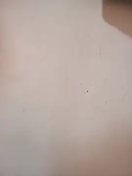 DaisyHarperr webcam
