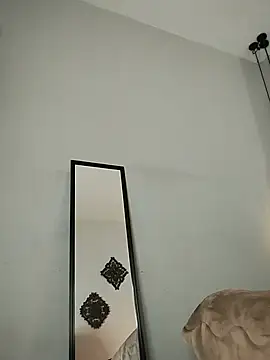 evazul webcam