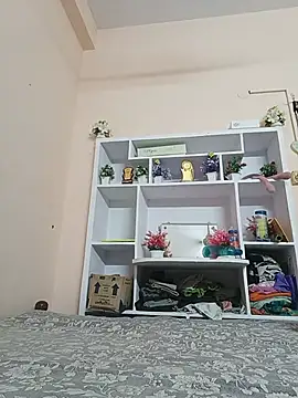 Hansikatelugu webcam