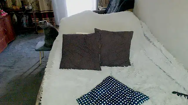 sex2 live cam on StripChat