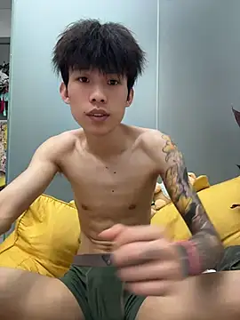 KPL-11 webcam