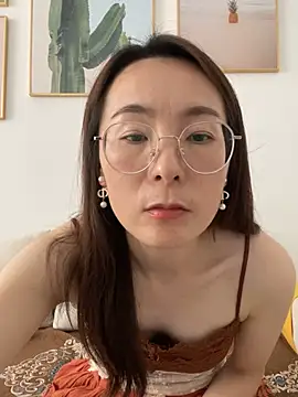 you-520 webcam