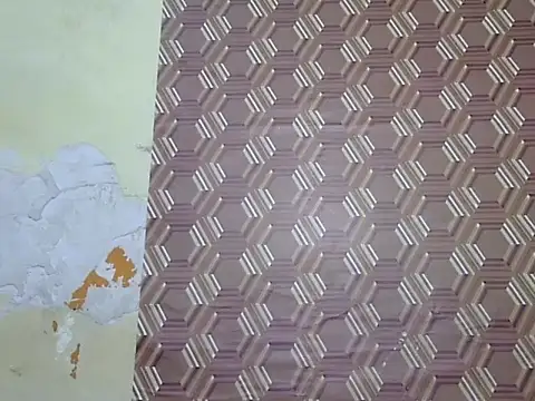 sayana_shrma webcam
