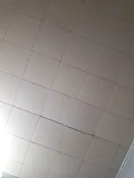 19JaSon83 webcam