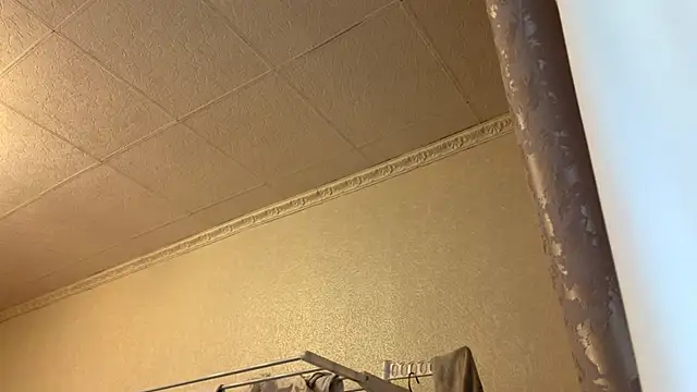 LivianDivorce webcam