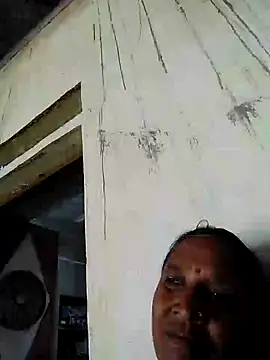 Loomaraj webcam