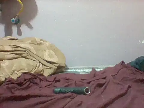 mislover webcam