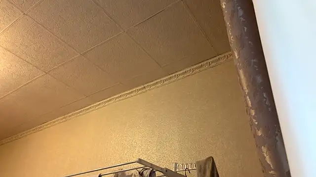 LivianDivorce webcam