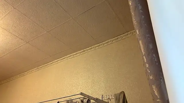 LivianDivorce webcam