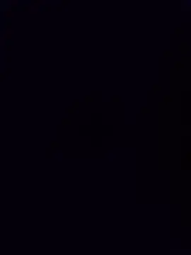 minnetird webcam